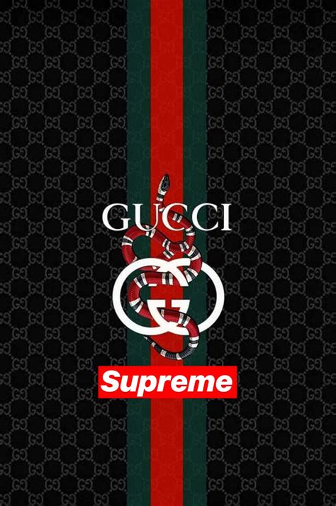 supreme gucci png|supreme Gucci wallpaper.